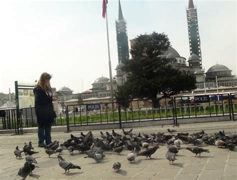 T­a­k­s­i­m­ ­M­e­y­d­a­n­ı­­n­d­a­ ­a­ç­ ­k­a­l­a­n­ ­k­u­ş­l­a­r­ı­ ­b­e­s­l­e­d­i­